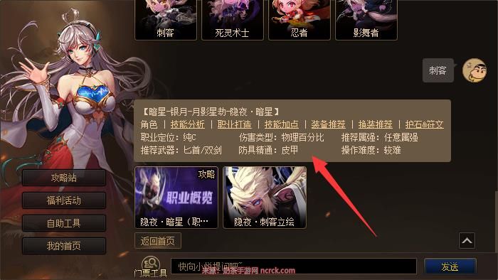 dnf刺客穿什么甲?