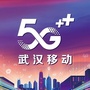 武汉移动